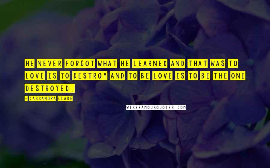 Cassandra Clare Quotes: He never forgot what he learned and that was to love is to destroy and to be love is to be the one destroyed.