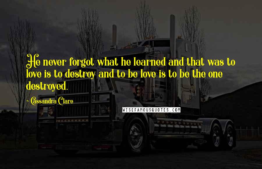 Cassandra Clare Quotes: He never forgot what he learned and that was to love is to destroy and to be love is to be the one destroyed.