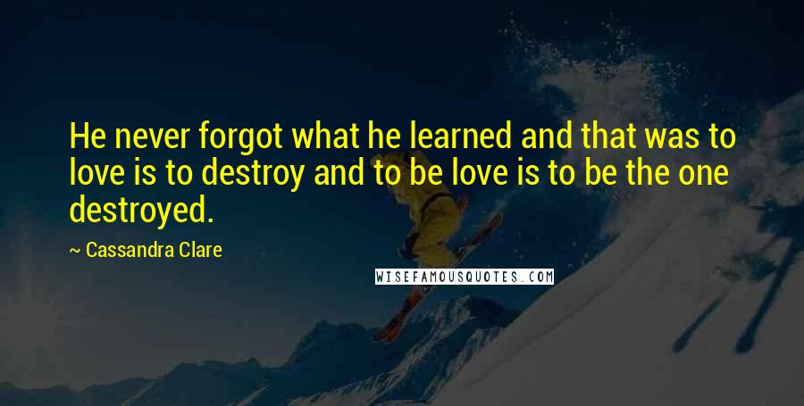 Cassandra Clare Quotes: He never forgot what he learned and that was to love is to destroy and to be love is to be the one destroyed.