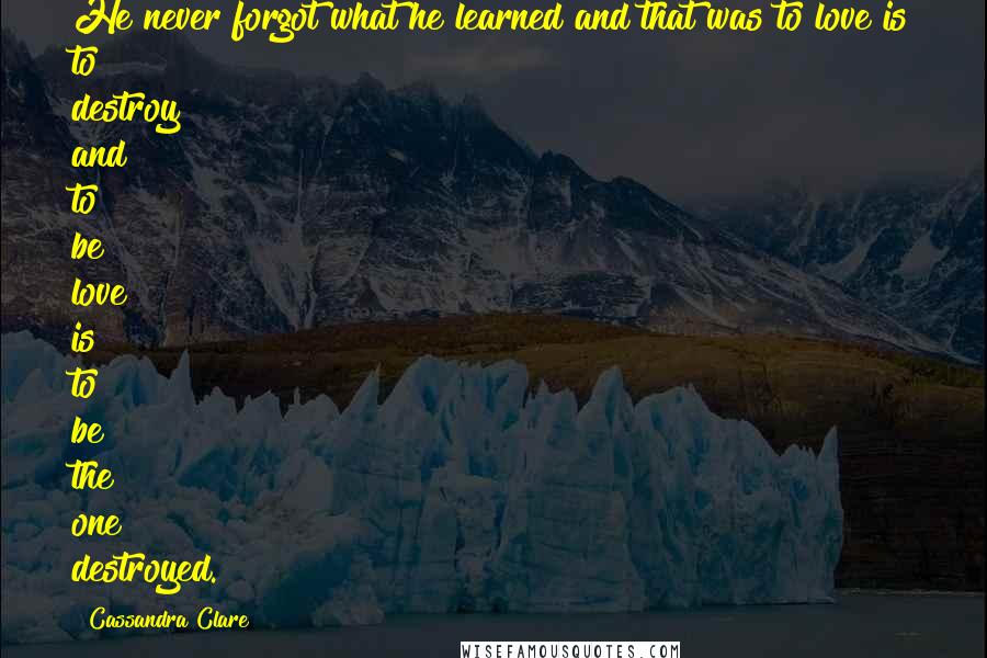 Cassandra Clare Quotes: He never forgot what he learned and that was to love is to destroy and to be love is to be the one destroyed.