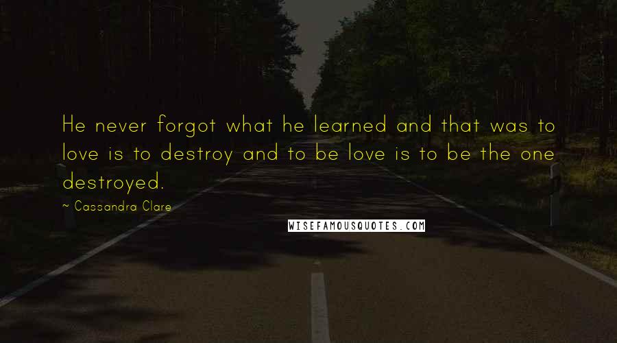 Cassandra Clare Quotes: He never forgot what he learned and that was to love is to destroy and to be love is to be the one destroyed.