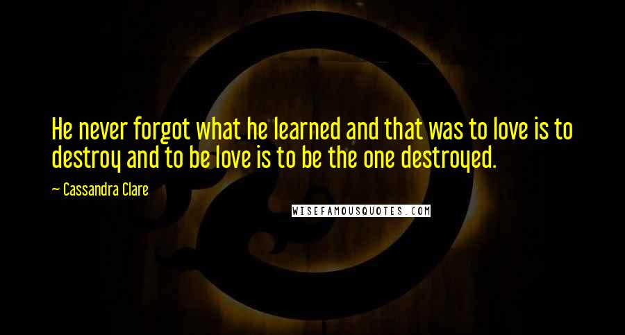 Cassandra Clare Quotes: He never forgot what he learned and that was to love is to destroy and to be love is to be the one destroyed.