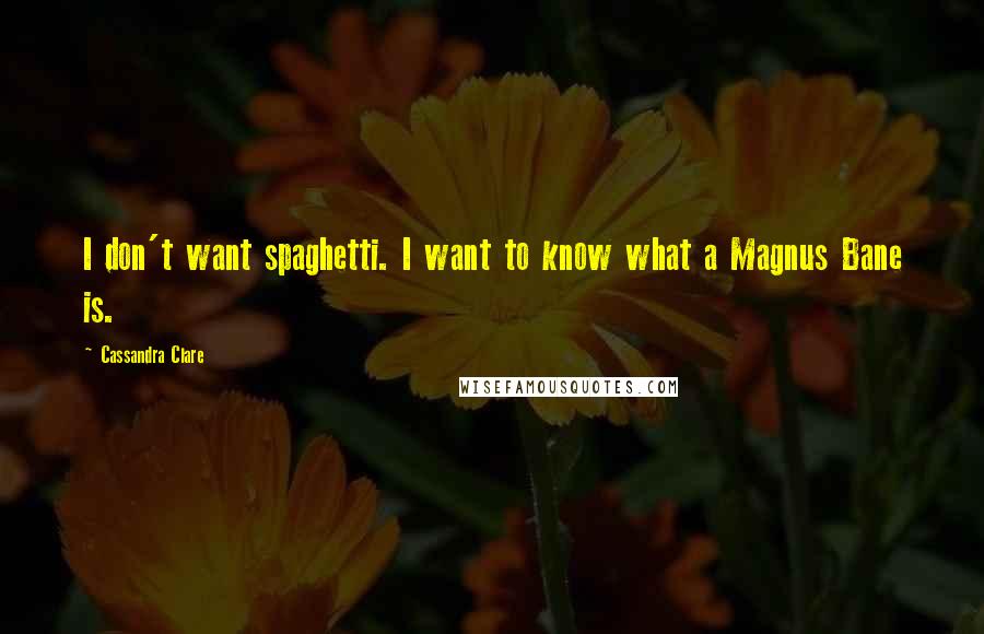 Cassandra Clare Quotes: I don't want spaghetti. I want to know what a Magnus Bane is.