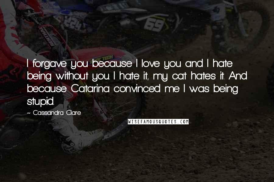 Cassandra Clare Quotes: I forgave you because I love you and I hate being without you. I hate it, my cat hates it. And because Catarina convinced me I was being stupid.