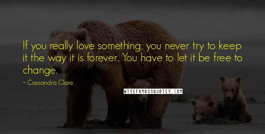 Cassandra Clare Quotes: If you really love something, you never try to keep it the way it is forever. You have to let it be free to change.