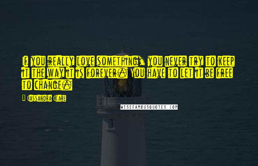 Cassandra Clare Quotes: If you really love something, you never try to keep it the way it is forever. You have to let it be free to change.