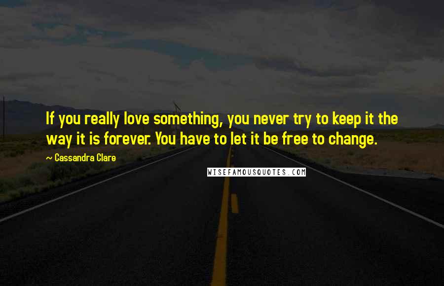 Cassandra Clare Quotes: If you really love something, you never try to keep it the way it is forever. You have to let it be free to change.