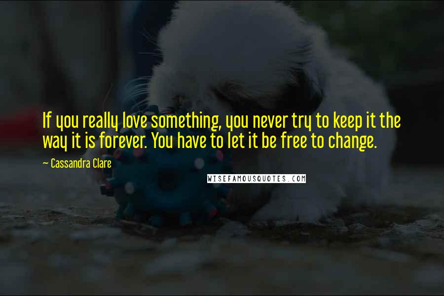 Cassandra Clare Quotes: If you really love something, you never try to keep it the way it is forever. You have to let it be free to change.