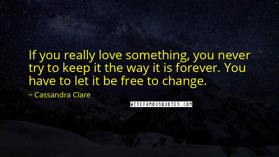 Cassandra Clare Quotes: If you really love something, you never try to keep it the way it is forever. You have to let it be free to change.