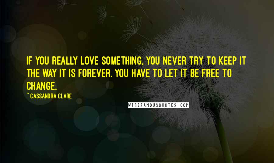 Cassandra Clare Quotes: If you really love something, you never try to keep it the way it is forever. You have to let it be free to change.