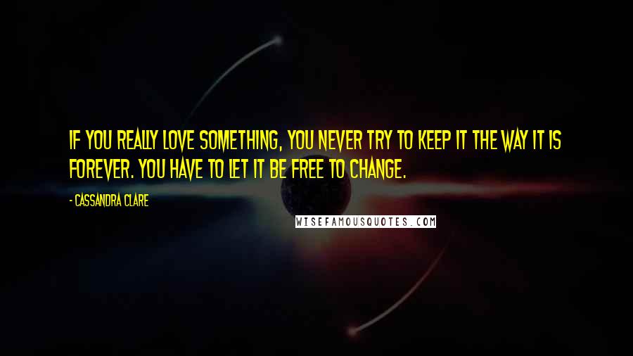 Cassandra Clare Quotes: If you really love something, you never try to keep it the way it is forever. You have to let it be free to change.