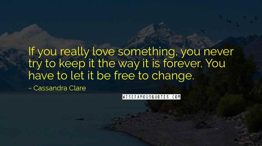 Cassandra Clare Quotes: If you really love something, you never try to keep it the way it is forever. You have to let it be free to change.