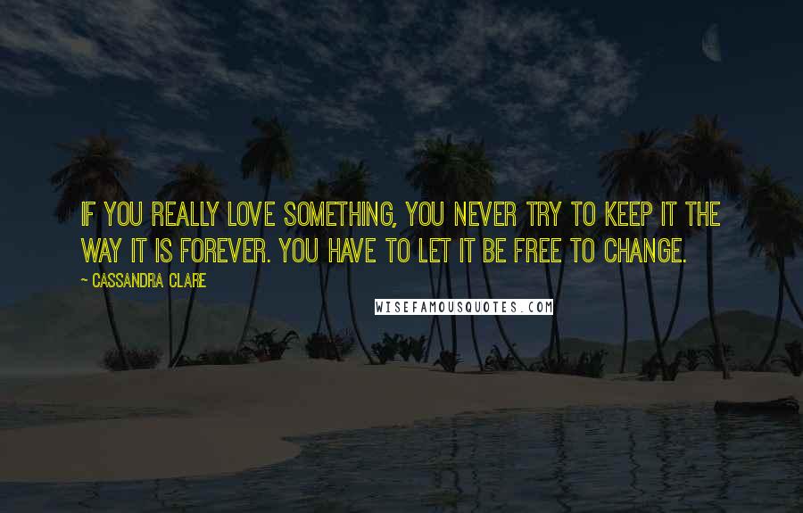 Cassandra Clare Quotes: If you really love something, you never try to keep it the way it is forever. You have to let it be free to change.