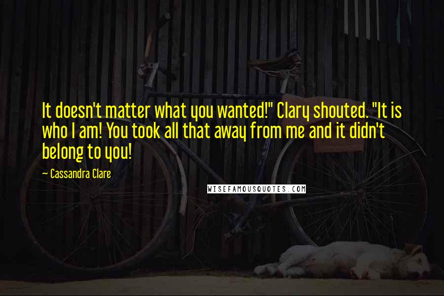 Cassandra Clare Quotes: It doesn't matter what you wanted!" Clary shouted. "It is who I am! You took all that away from me and it didn't belong to you!