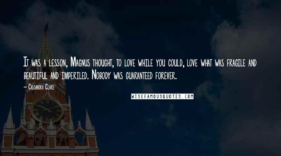 Cassandra Clare Quotes: It was a lesson, Magnus thought, to love while you could, love what was fragile and beautiful and imperiled. Nobody was guaranteed forever.