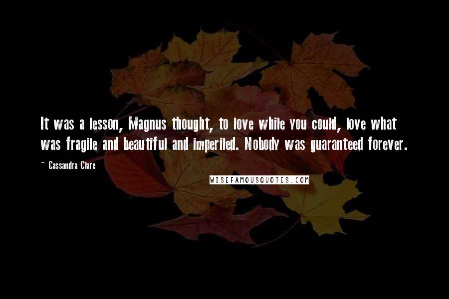 Cassandra Clare Quotes: It was a lesson, Magnus thought, to love while you could, love what was fragile and beautiful and imperiled. Nobody was guaranteed forever.