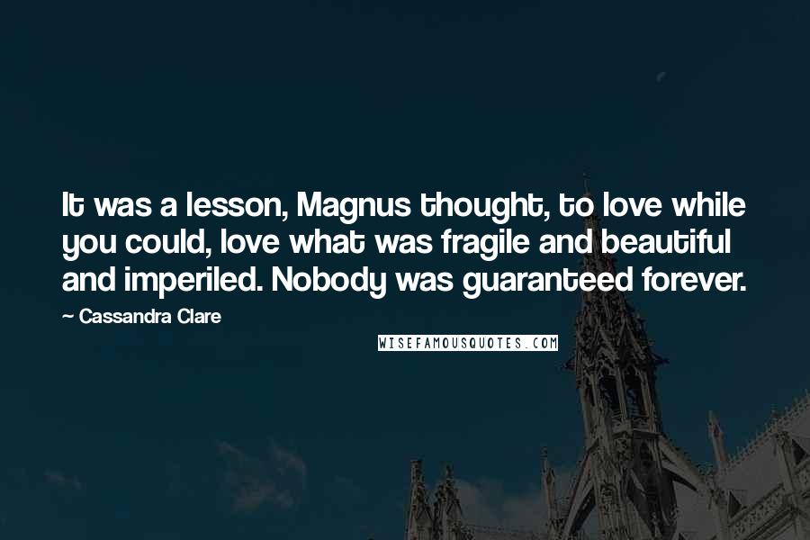 Cassandra Clare Quotes: It was a lesson, Magnus thought, to love while you could, love what was fragile and beautiful and imperiled. Nobody was guaranteed forever.