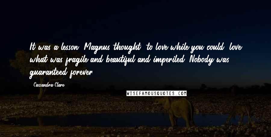 Cassandra Clare Quotes: It was a lesson, Magnus thought, to love while you could, love what was fragile and beautiful and imperiled. Nobody was guaranteed forever.