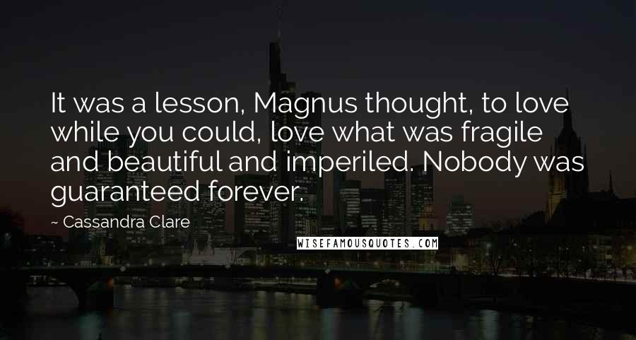 Cassandra Clare Quotes: It was a lesson, Magnus thought, to love while you could, love what was fragile and beautiful and imperiled. Nobody was guaranteed forever.