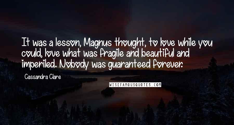 Cassandra Clare Quotes: It was a lesson, Magnus thought, to love while you could, love what was fragile and beautiful and imperiled. Nobody was guaranteed forever.