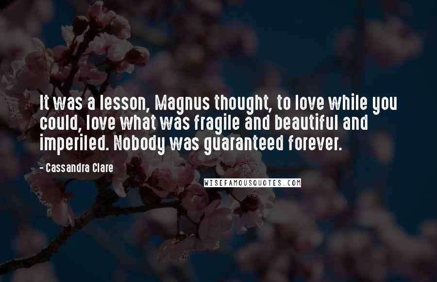 Cassandra Clare Quotes: It was a lesson, Magnus thought, to love while you could, love what was fragile and beautiful and imperiled. Nobody was guaranteed forever.