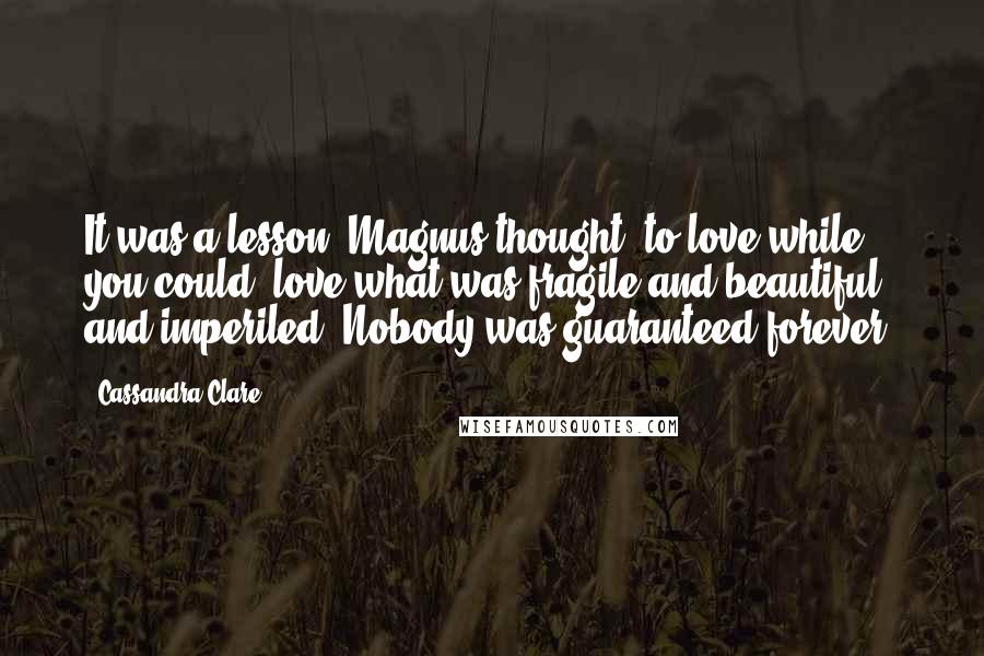 Cassandra Clare Quotes: It was a lesson, Magnus thought, to love while you could, love what was fragile and beautiful and imperiled. Nobody was guaranteed forever.