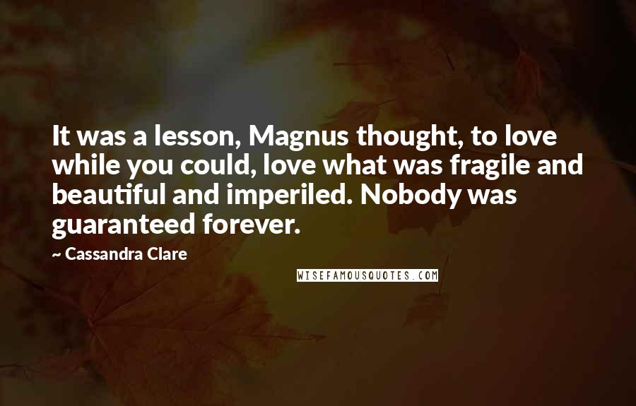 Cassandra Clare Quotes: It was a lesson, Magnus thought, to love while you could, love what was fragile and beautiful and imperiled. Nobody was guaranteed forever.