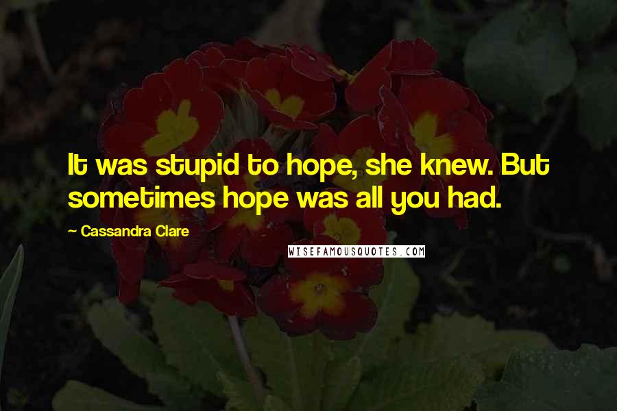 Cassandra Clare Quotes: It was stupid to hope, she knew. But sometimes hope was all you had.