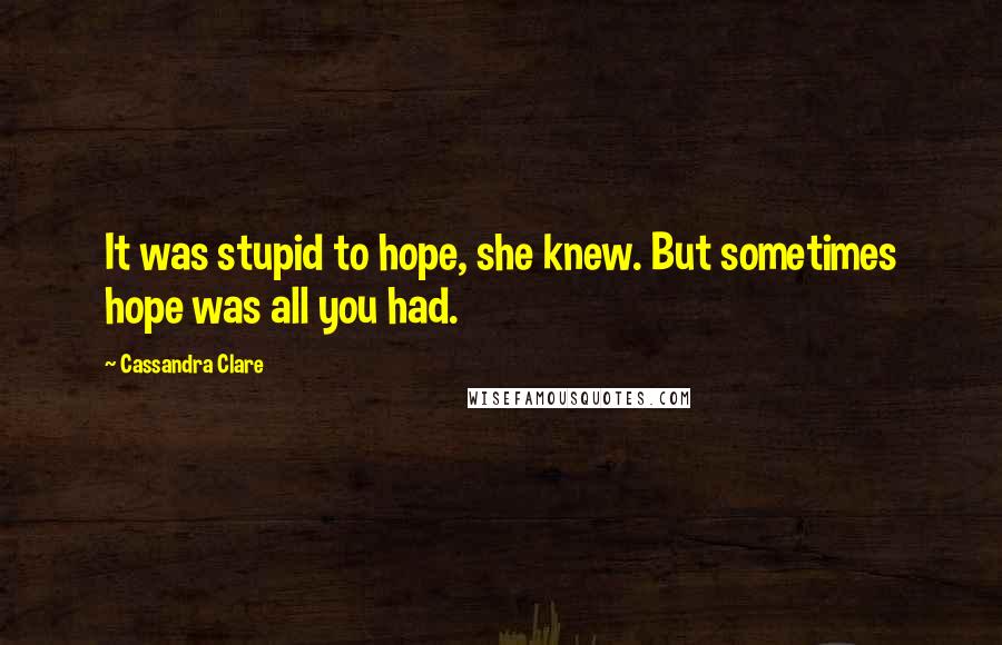 Cassandra Clare Quotes: It was stupid to hope, she knew. But sometimes hope was all you had.