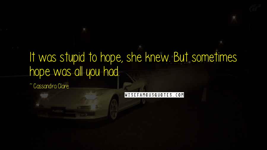 Cassandra Clare Quotes: It was stupid to hope, she knew. But sometimes hope was all you had.