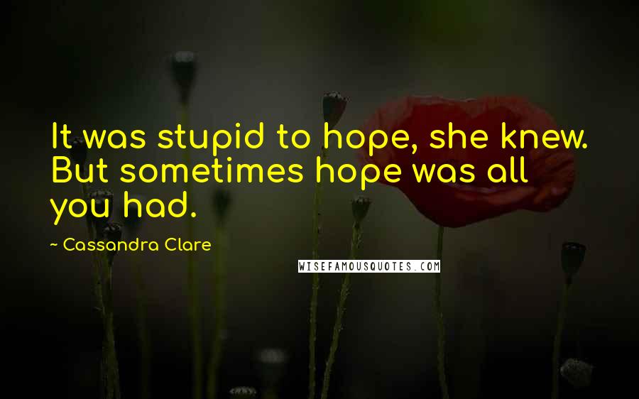 Cassandra Clare Quotes: It was stupid to hope, she knew. But sometimes hope was all you had.