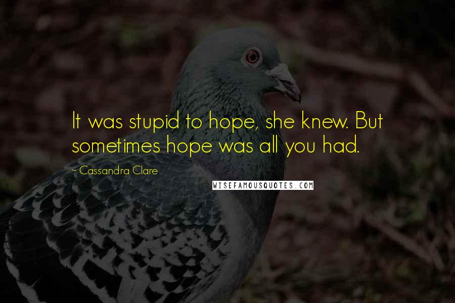 Cassandra Clare Quotes: It was stupid to hope, she knew. But sometimes hope was all you had.