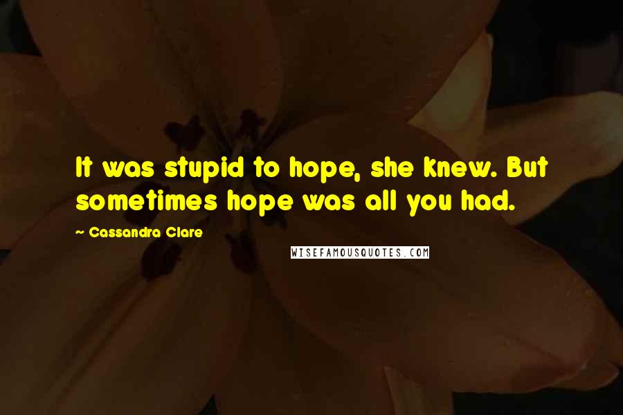 Cassandra Clare Quotes: It was stupid to hope, she knew. But sometimes hope was all you had.