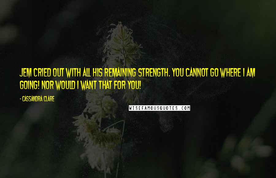 Cassandra Clare Quotes: Jem cried out with all his remaining strength. You cannot go where I am going! Nor would I want that for you!