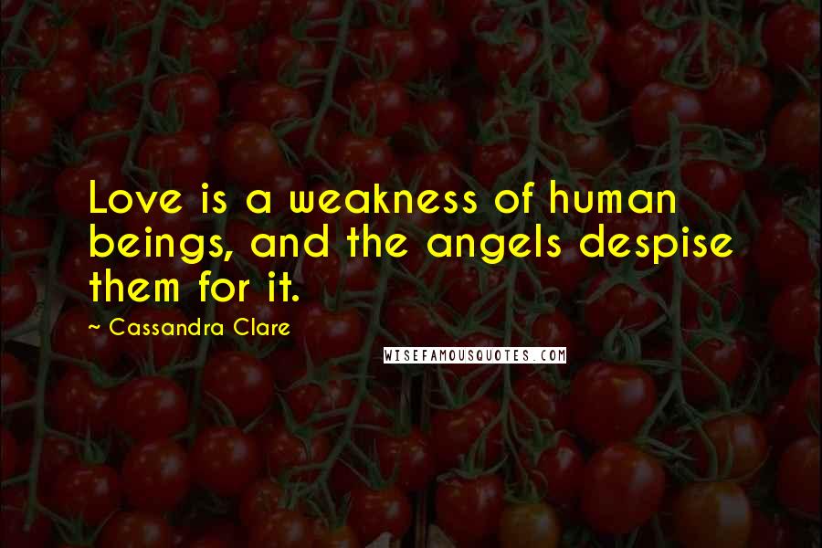Cassandra Clare Quotes: Love is a weakness of human beings, and the angels despise them for it.