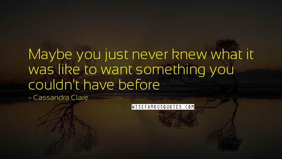 Cassandra Clare Quotes: Maybe you just never knew what it was like to want something you couldn't have before