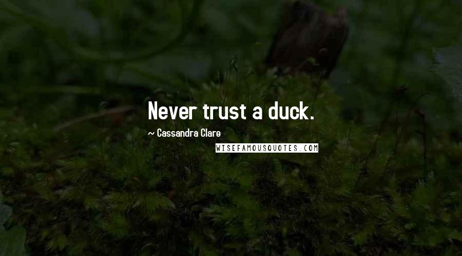 Cassandra Clare Quotes: Never trust a duck.