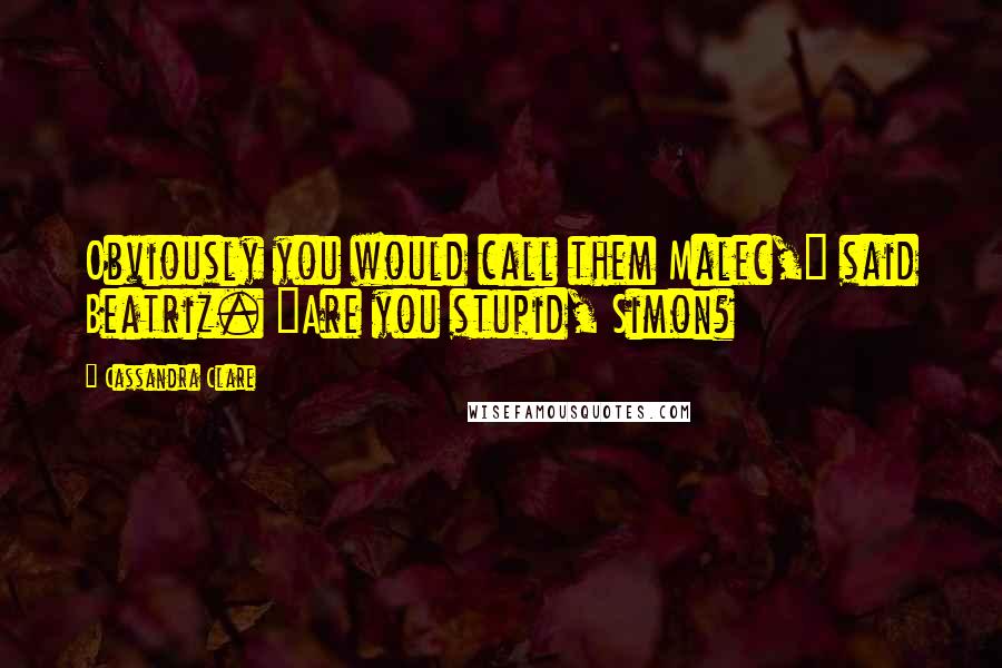 Cassandra Clare Quotes: Obviously you would call them Malec," said Beatriz. "Are you stupid, Simon?