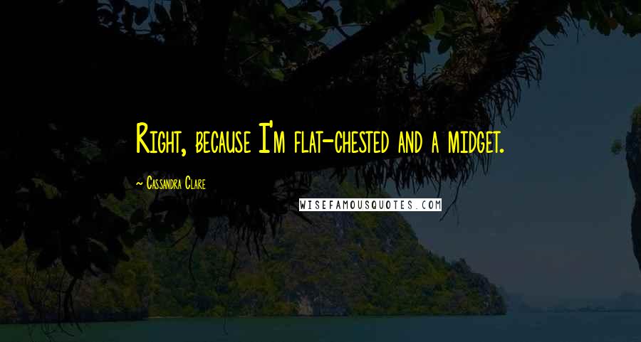 Cassandra Clare Quotes: Right, because I'm flat-chested and a midget.
