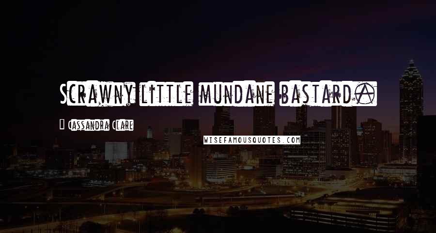 Cassandra Clare Quotes: Scrawny little mundane bastard.