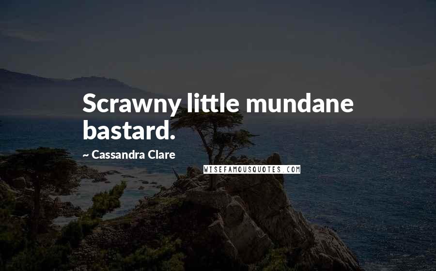 Cassandra Clare Quotes: Scrawny little mundane bastard.