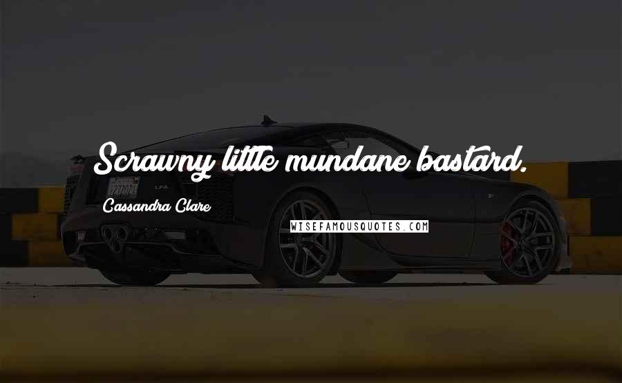 Cassandra Clare Quotes: Scrawny little mundane bastard.
