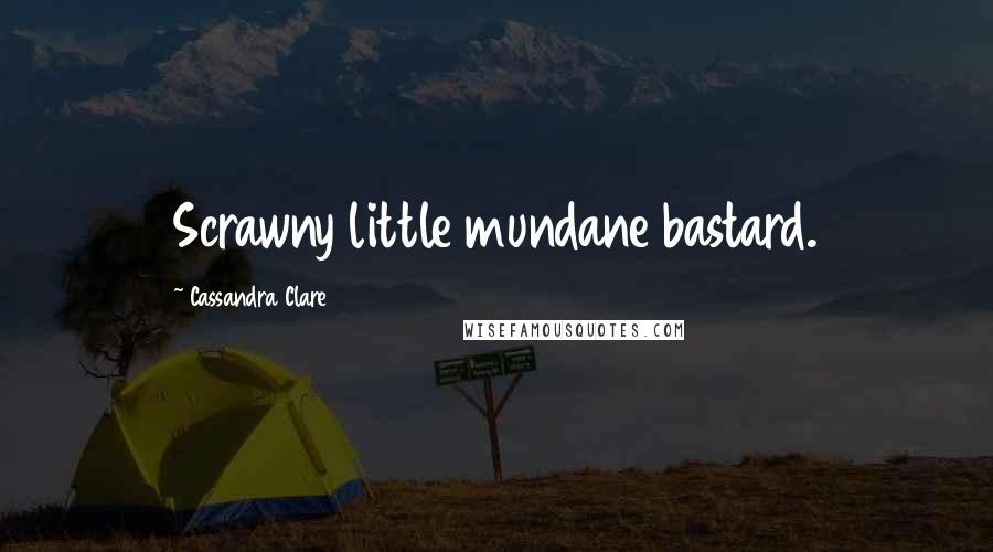 Cassandra Clare Quotes: Scrawny little mundane bastard.