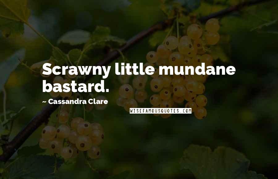 Cassandra Clare Quotes: Scrawny little mundane bastard.