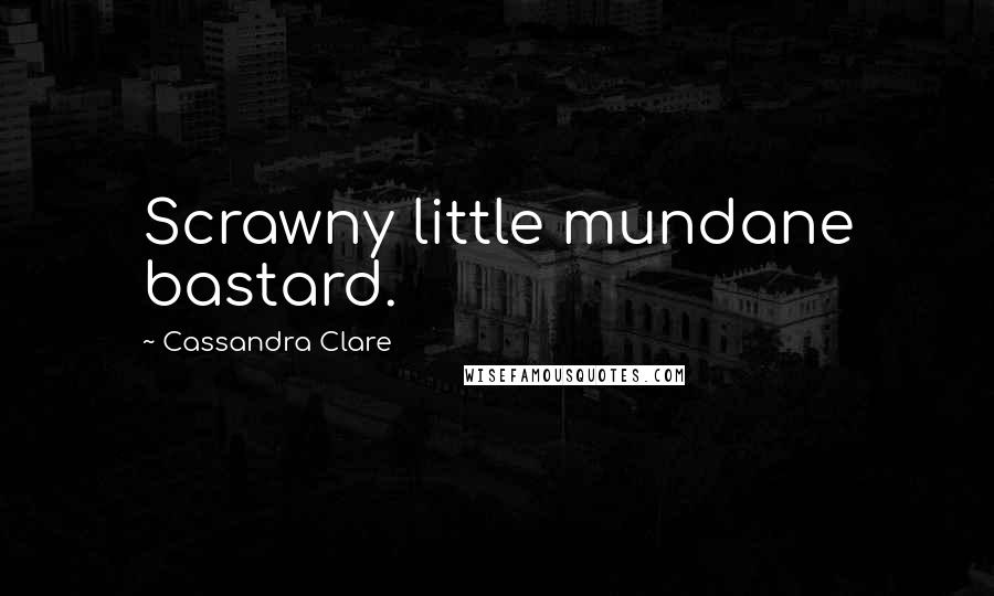 Cassandra Clare Quotes: Scrawny little mundane bastard.