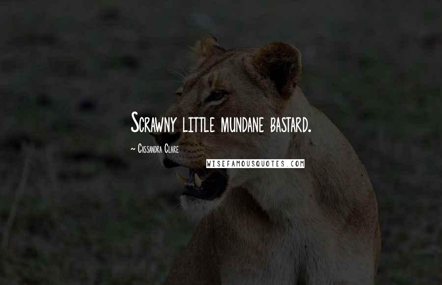 Cassandra Clare Quotes: Scrawny little mundane bastard.