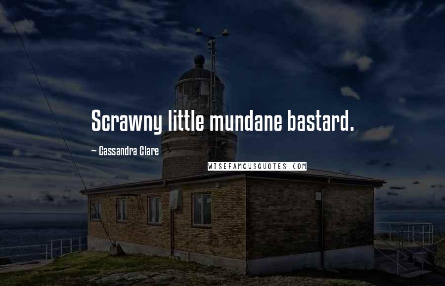 Cassandra Clare Quotes: Scrawny little mundane bastard.
