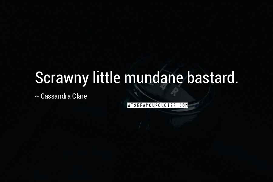 Cassandra Clare Quotes: Scrawny little mundane bastard.