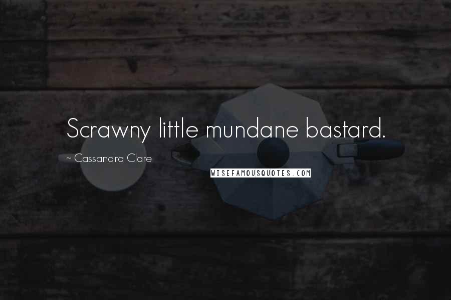 Cassandra Clare Quotes: Scrawny little mundane bastard.