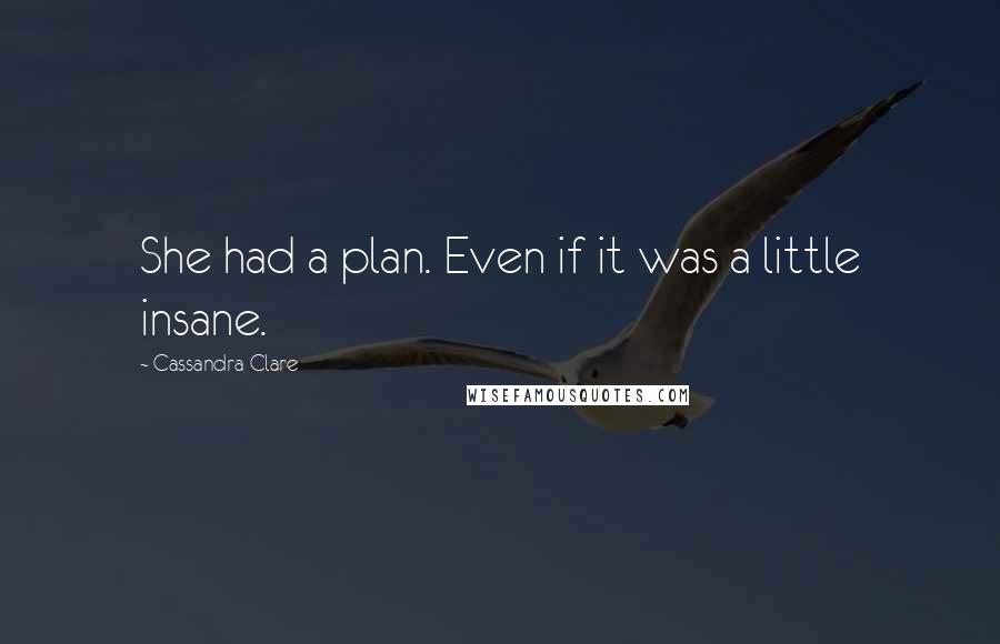 Cassandra Clare Quotes: She had a plan. Even if it was a little insane.